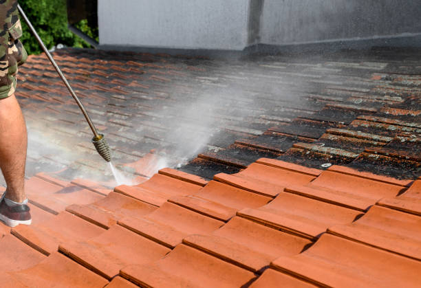 Best Pressure Washing Services for Businesses  in Pinewood, FL