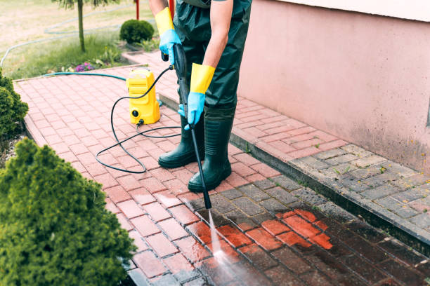 Best Roof Pressure Washing  in Pinewood, FL