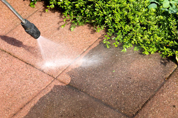Best Deck Cleaning Services  in Pinewood, FL