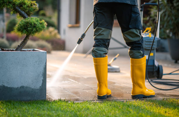 Best Roof Pressure Washing  in Pinewood, FL